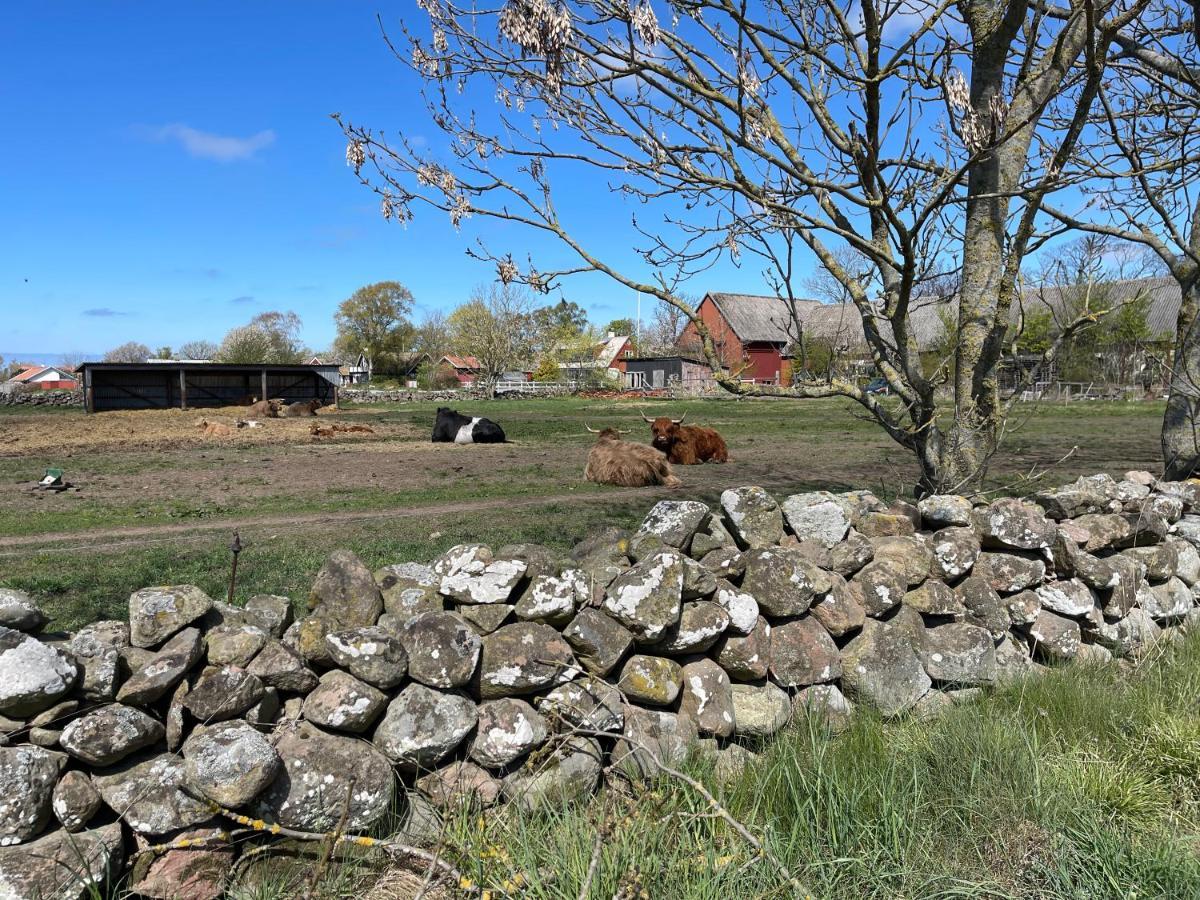 فيلا Båstadفي Pia'S Country House المظهر الخارجي الصورة